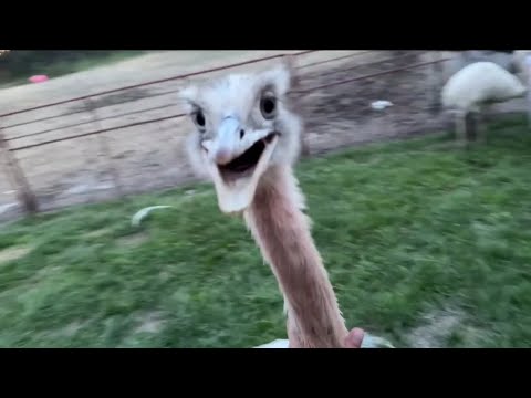 Kevin's Son Is Stronger & More Angry