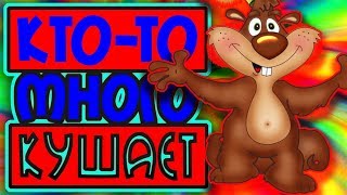 Новые приколы с смешными животными. Лучшие приколы 2018.#3