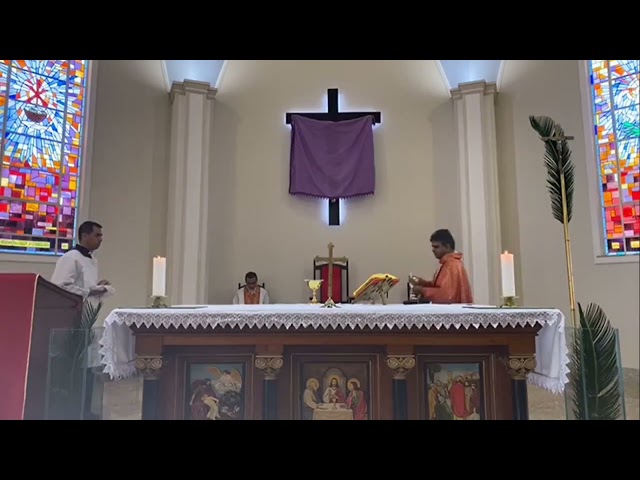 Preview do vídeo