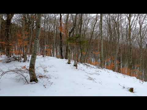 smooth relaxing music for mind relax