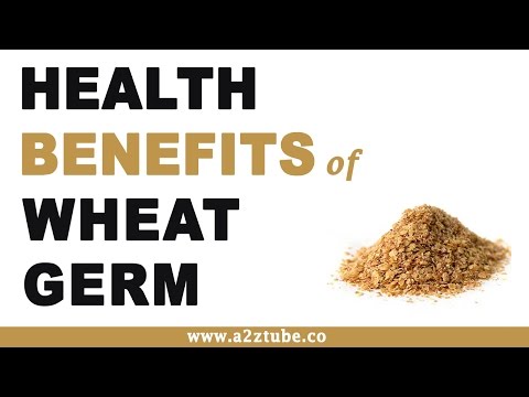 download lagu mp3 mp4 Wheat Germ Powder India, download lagu Wheat Germ Powder India gratis, unduh video klip Wheat Germ Powder India