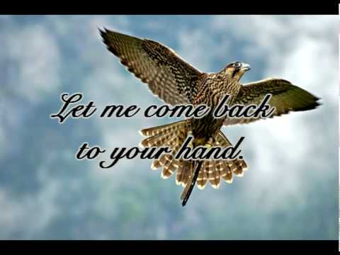 Heather Dale ~ "Hunter" ~ With Lyrics!