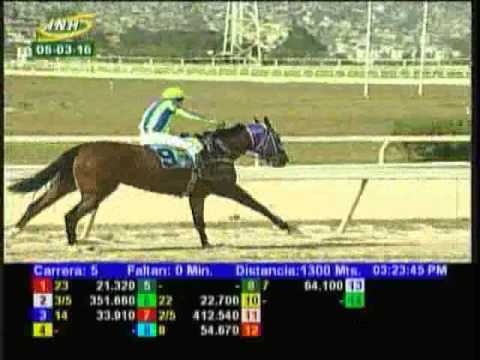 Resumen Sábado, 05 de Marzo de 2016 - La Rinconada