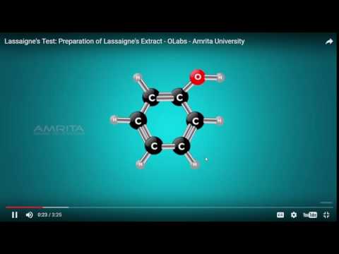 Detection of Elements  Lassaigne's Test Video   Class 11   Chemistry   Amrita Online Lab   Google Ch
