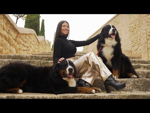 Paula Díez - Válgame Dios (Cover)