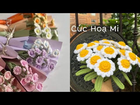 Hoa cúc hoạ mi