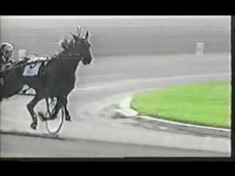 1994 Freehold Raceway ARMBRO KEEPSAKE Stig Johansson Breeders Crown Mare Trot