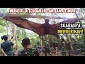 MENGERIKAN Kemunculan Kelelawar Sebesar Manusia Gemparkan Warga Kediri