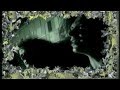 Caifanes - La Negra Tomasa [Video Oficial] 