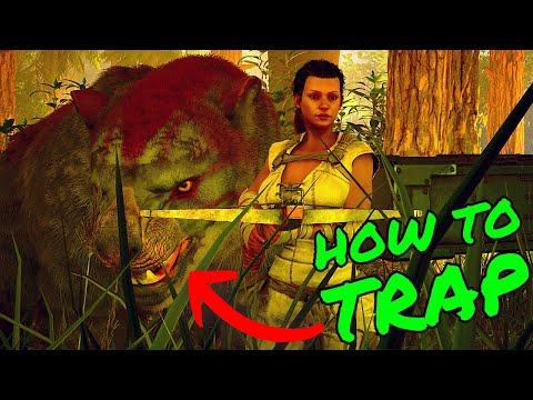 How To TRAP a THYLACOLEO in Ark Survival Ascended!