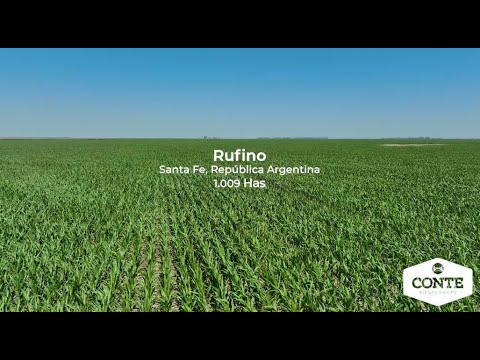 Conte Bienes Raices - Rufino 1009 Has