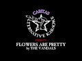 The Vandals - Flowers are Pretty - Karaoke w. lyrics - Caritas