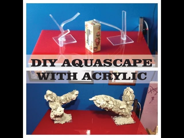 DIY Aquascape With ACRYLIC