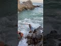 We Didn’t Expect THIS… Model Swept Away by Waves! 🌊😱