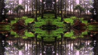 Outer Phase - Strange Forces