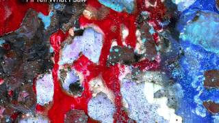 Trey Gunn - Contact, Drunk, The Fifth Spin of the Sun