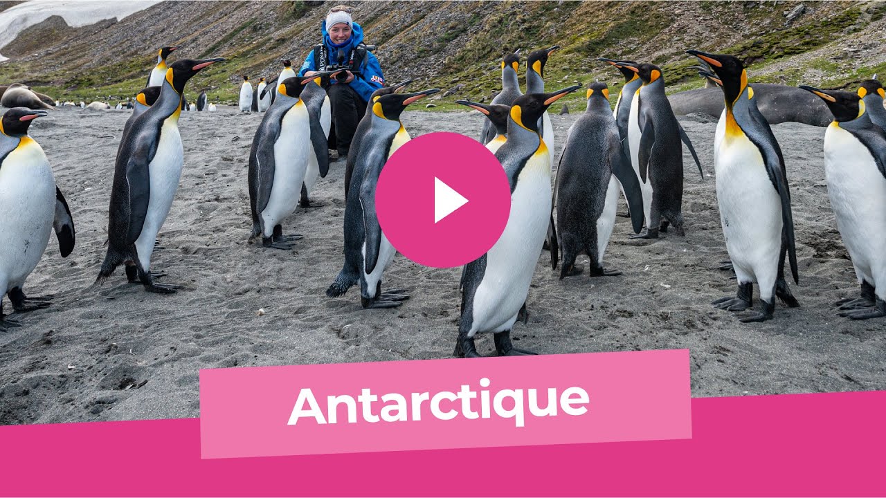 Antarctique AV