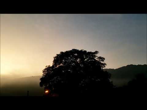 Joshua Redman Trio, Cully (2015)