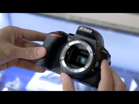 Nikon D5600 - First Look