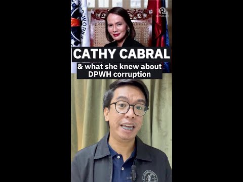 Ombudsman wants cyber warrants to secure Cathy Cabral’s gadgets