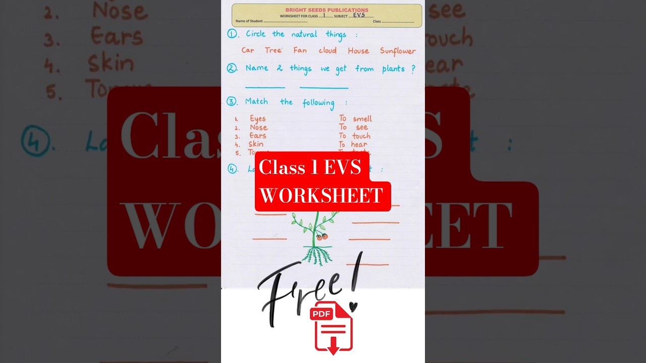 EVS Worksheet for class 1 kids | Easy practice worksheet | Free PDF available #class1evs #learning
