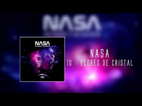 William Khepri - Flores de Cristal (NASA 2016)