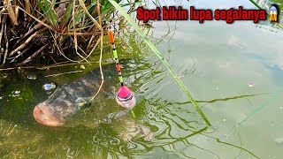 Download lagu Fishing for tilapia in this river will make you forget everything, the new bait will go down and ... mp3