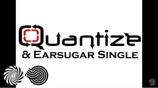 Earsugar - Womanizer (Quantize Remix)