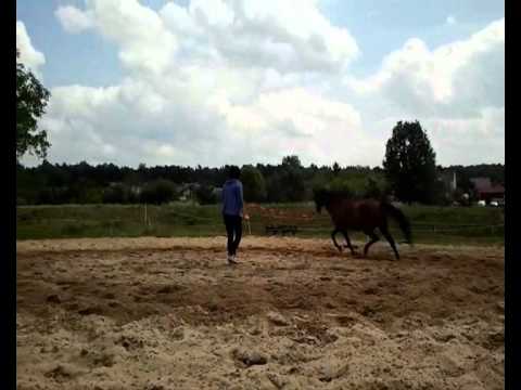 Maniek, Ja i Pani Wiosna! :)