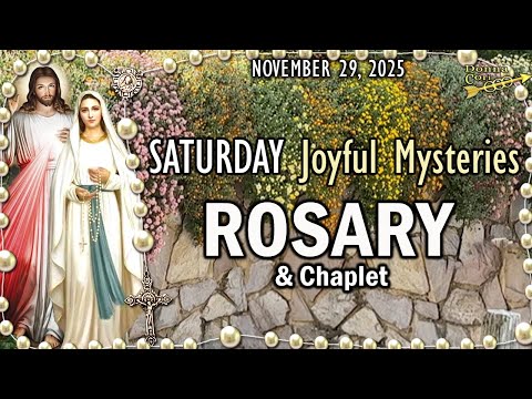 SATURDAY Rosary Prayer & Chaplet🌹JOYFUL Mysteries of the Rosary Catholic Prayer, November 29, 2025