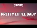 Connie Francis Pretty Little Baby 1 HOUR Lyrics You Can Ask The Flowers I Sit For Hours
