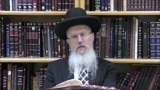 הגאון הרב אברהם שליט"א האם קריאת שְׁנַיִם מִקְרָא וְאֶחָד תַּרְגּוּם חייב להיות לפי הסדר