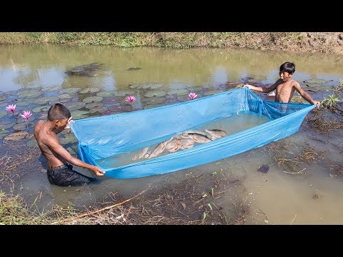 Unique Fish Trapping - Amazing Way of Catching Fish Using Mosquito Net | Cambo Trap
