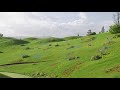 Teletubbies Opening Shot Field 1 On Top Underneath Clip