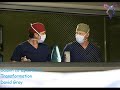Grey's anatomy S13E12 - Transformation - David Gray