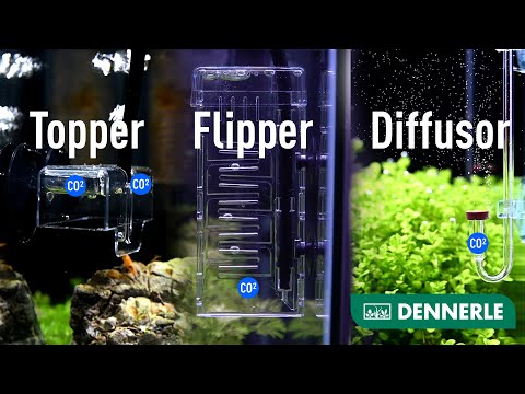 CO2 Zugabegeräte für eine erfolgreiche Düngung | Flipper, Diffusor und Co. | DENNERLE