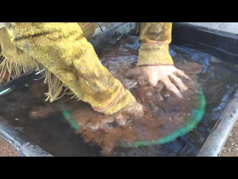 HOW TO PAN FOR GOLD !!!!  For Beginners   ask Jeff Williams