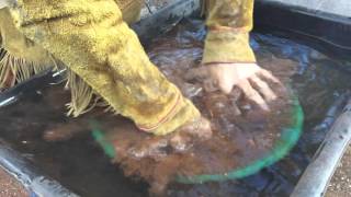 How To Pan For Gold !!!! Quick Demo of 30 second Panning. ask Jeff Williams