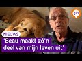 HONDEN zorgen ervoor dat OUDEREN niet EENZAAM zijn