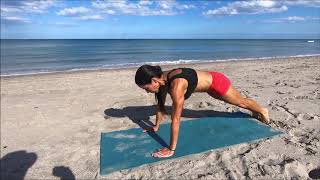 Day 4 Exercise 4 Plank with Wide Lunge