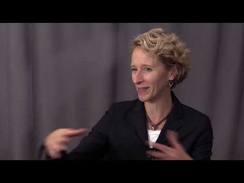 Restatement of the Law, Children and the Law (2017)