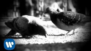 Diana Navarro- La paloma (Videoclip oficial)