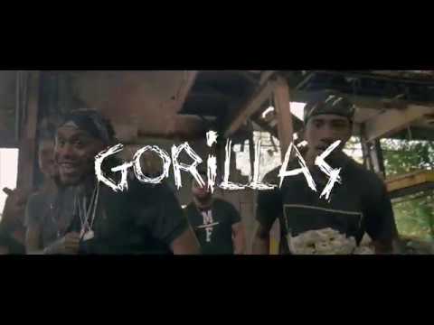 MULA MELLZ- GORILLAS (OFFICIAL VIDEO) | SHOT BY: GRECTVFILMZ