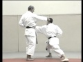 Bunkaï Heian Godan