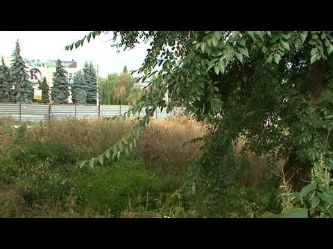 Куряне просят благоустроить городские пустыри