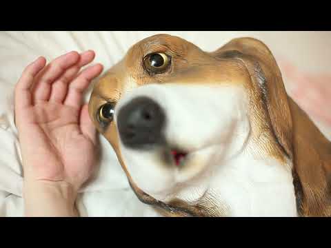 Friska Viljor - In my sofa I'm safe (Revisited)