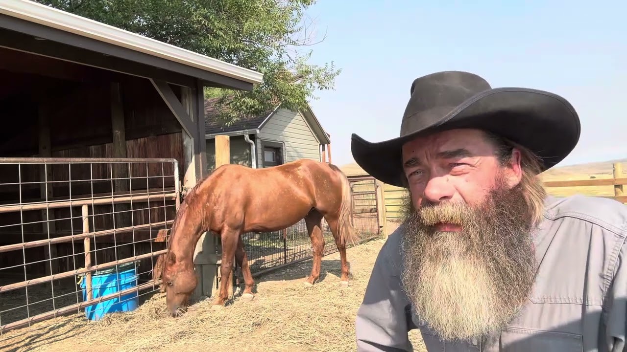 Three Things I’ll Never Do To My Horse Again