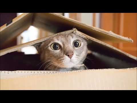 Uk Hardcore 2022 mix Ben Journiee