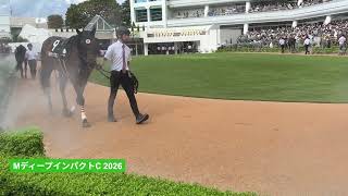 【代替競馬】2026年  MディープインパクトC | アルデトップガン | フミサウンド | レッドレナート | パドック 現地映像 全頭 | 中山競馬場 | 芝1,600