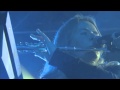 Belle & Sebastian - I'm Not Living In The Real World - Live at Barrowlands (HD Proshoot)